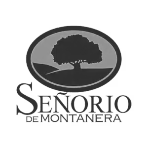 logo senorio